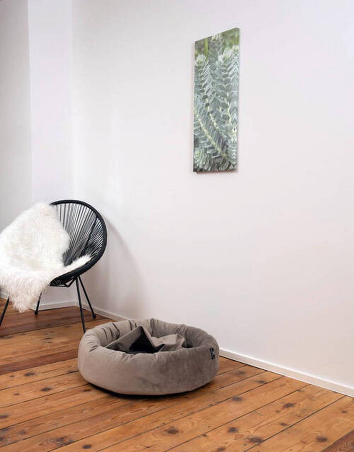 Hundebett Charly Taupe L: 90 cm - Taupe, KONVENTIONELL, Textil (90/90/18cm)