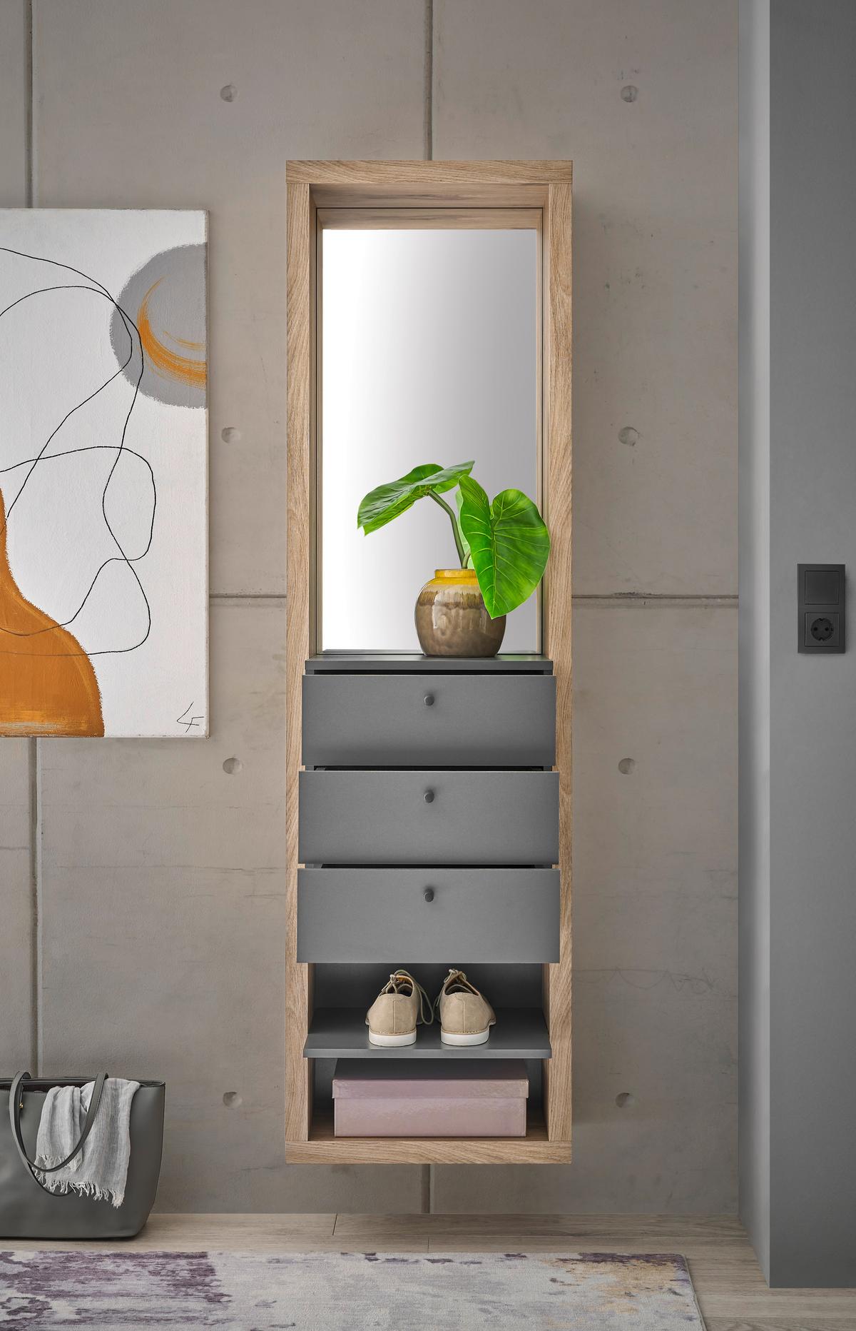 PREDSIEŇOVÝ NÁBYTOK FRAME - farba duba/antracitová, Basics, kompozitné drevo/sklo (51/178/35cm) - Carryhome