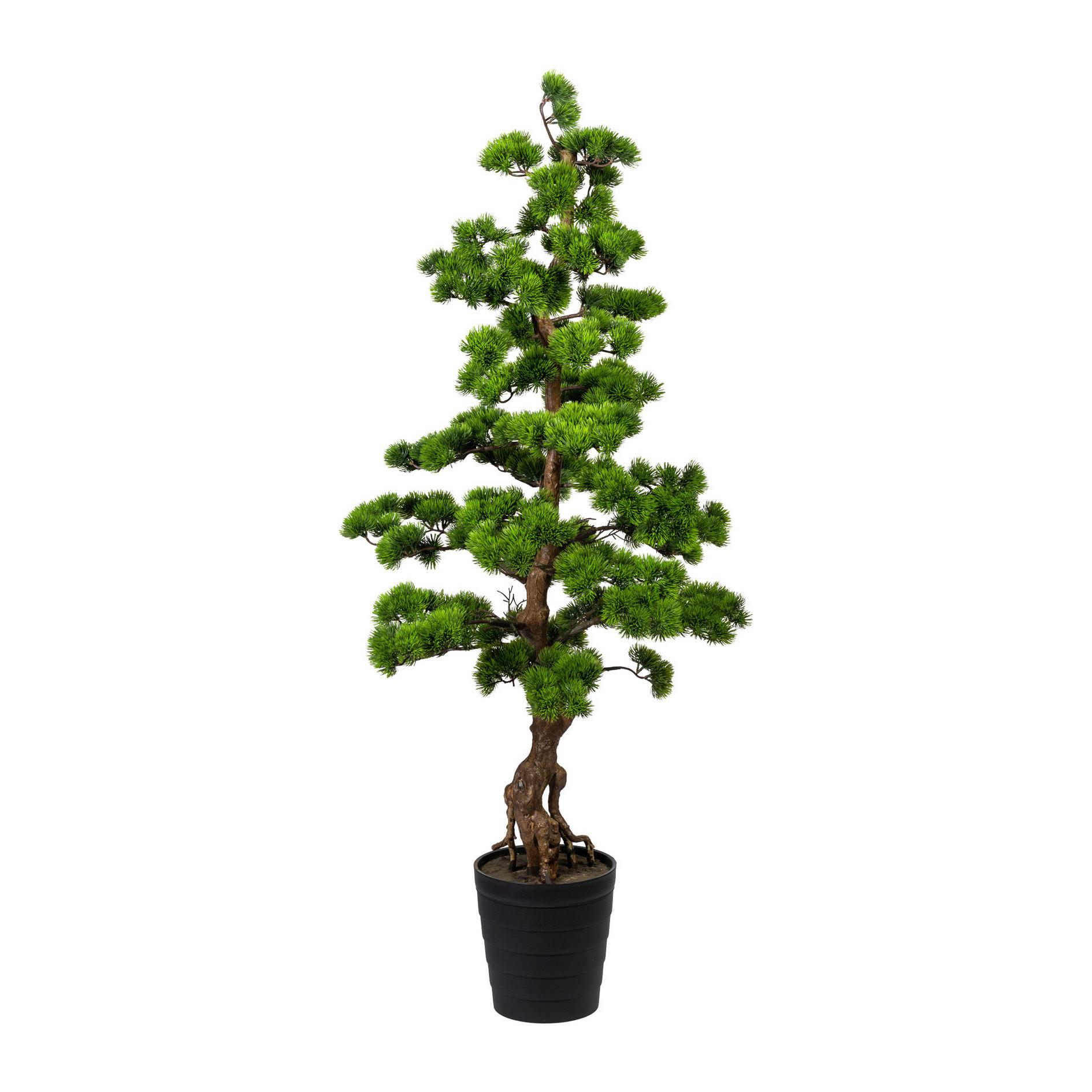 Kunstpflanze Bonsai H: 140 Cm - Braun/Grün, Trend, Kunststoff (140cm) - P & B
