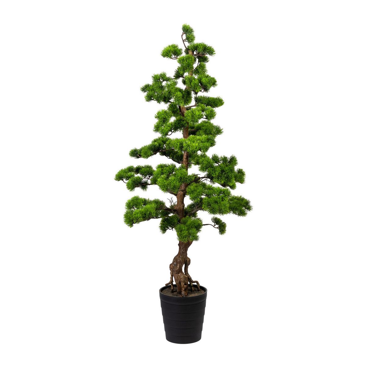 Kunstpflanze Bonsai H: 140 cm - Braun/Grün, Trend, Kunststoff (140cm) - P & B