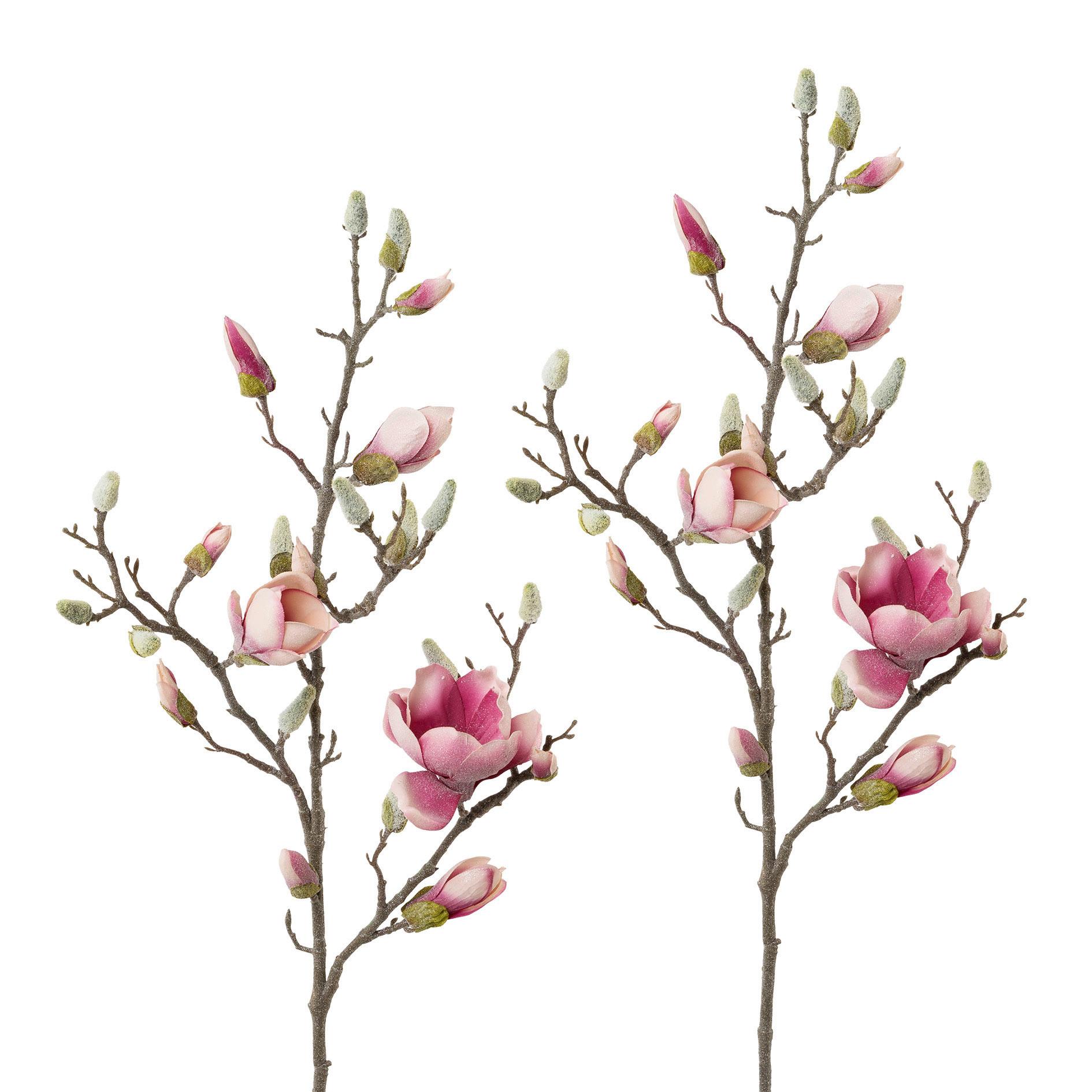 Kunstpflanze Magnolie Altrosa / Braun L: 103 cm - Altrosa/Braun, Trend, Kunststoff (103cm) - MID.YOU