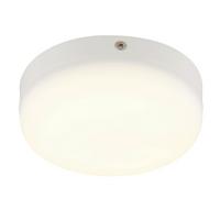 STROPNÍ LED SVÍTIDLO SMALI - bílá/opál, Moderní, plast (12/4,5cm) - Mömax
