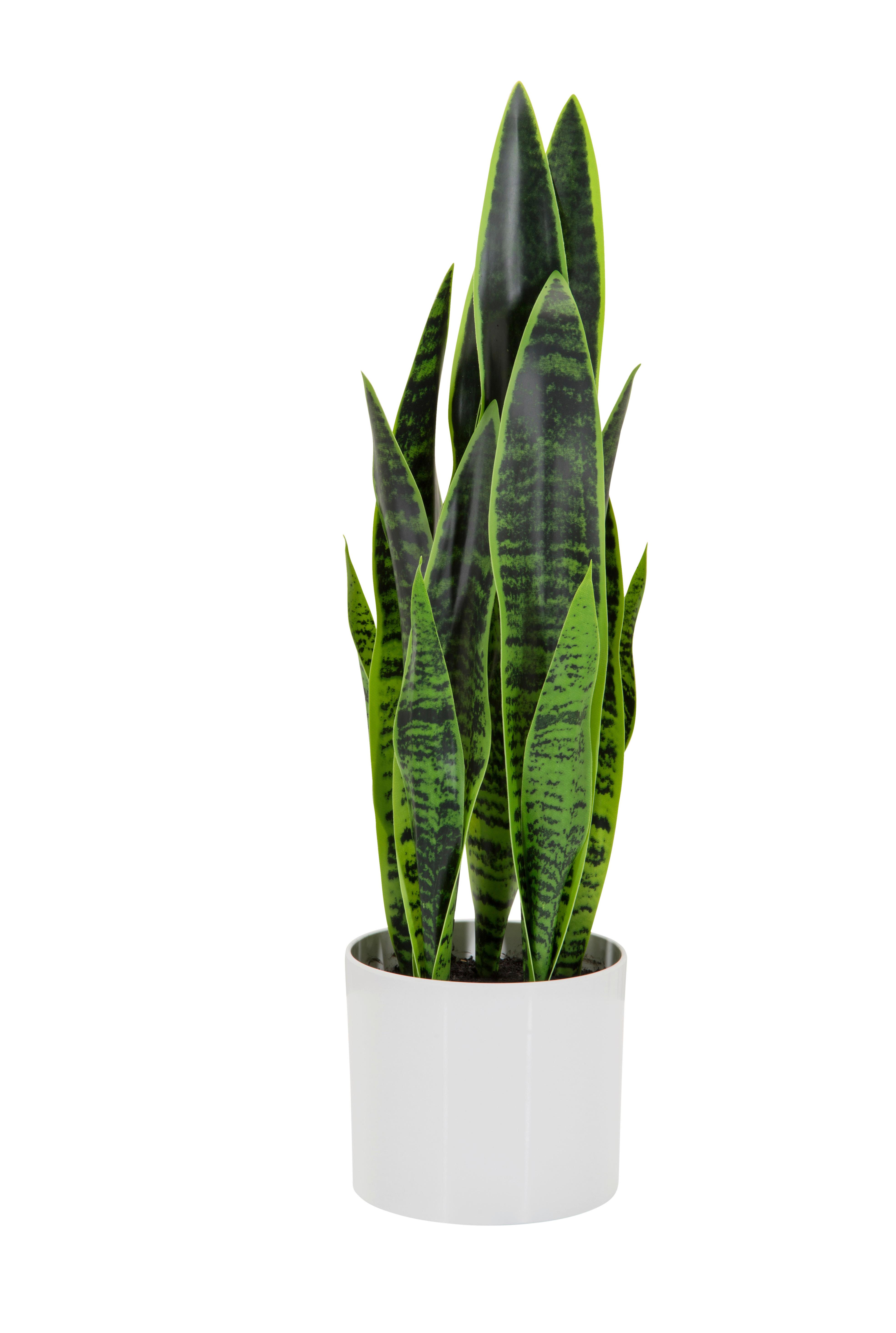Kunstpflanze Sansevieria - Weiß/Grün, Basics, Kunststoff/Textil (16/65/16cm) - MID.YOU