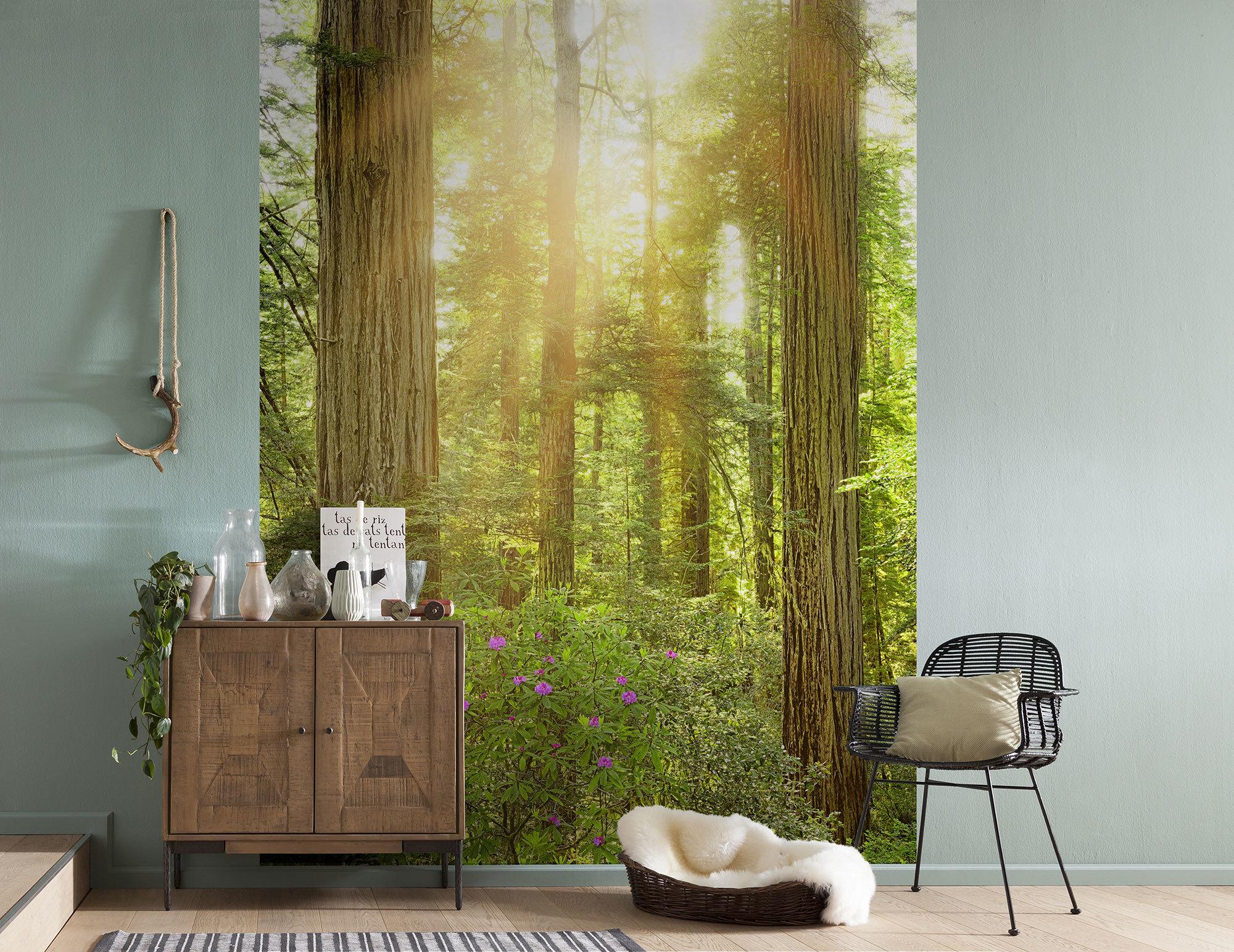 Vliestapete Wald - Natur (200/250cm)