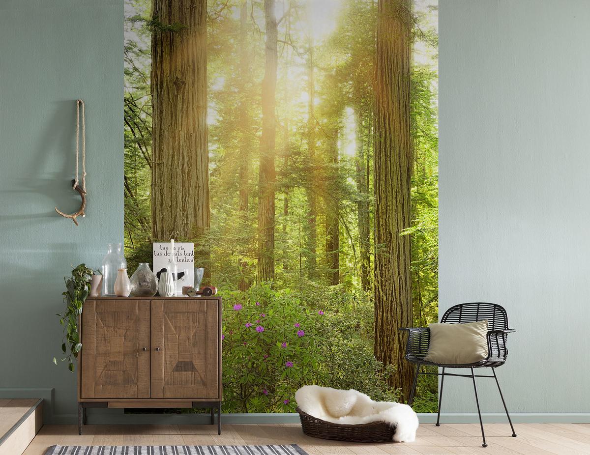Vliestapete Wald - Natur (200/250cm)