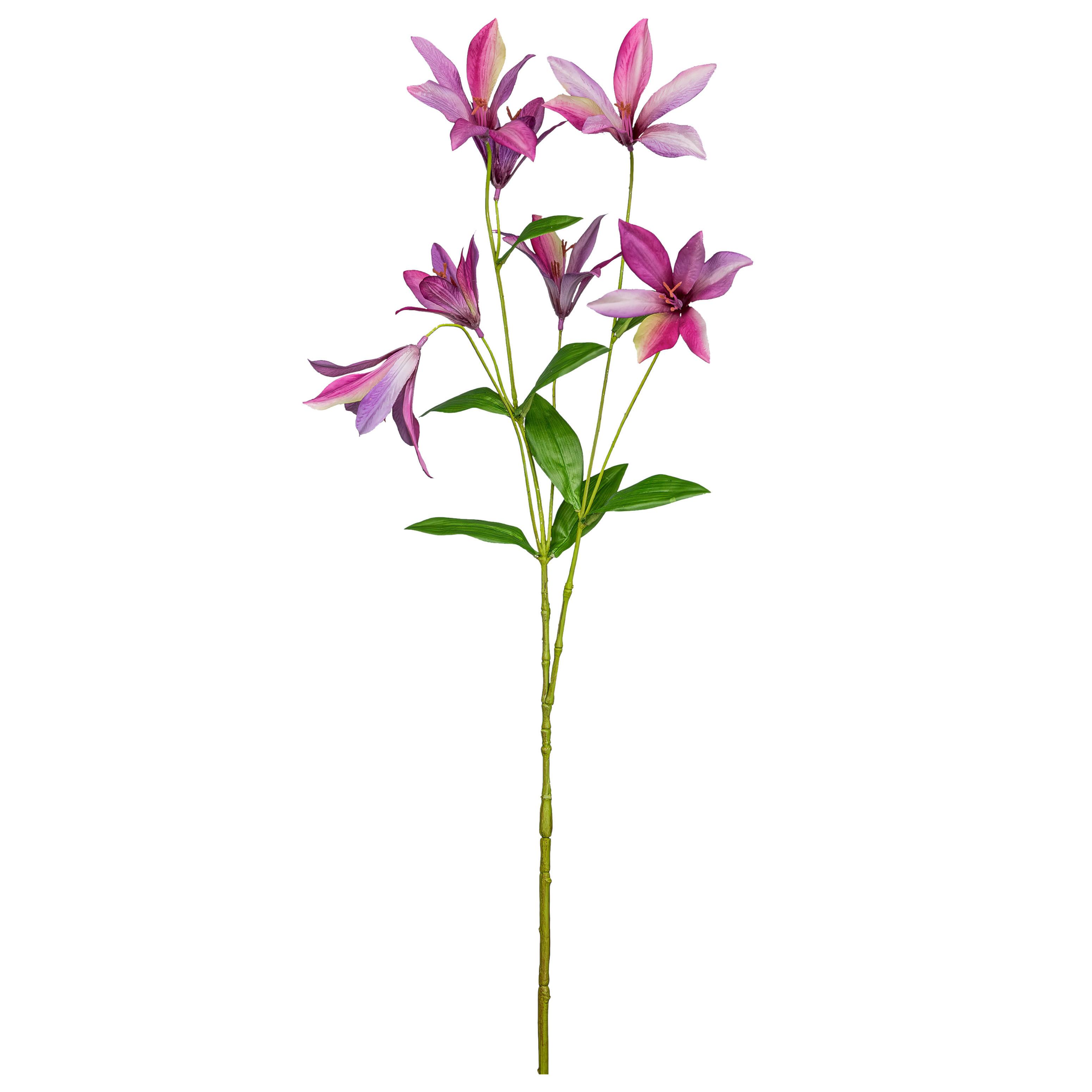 Dekorační větvička CLEMATIS I - pink/zelená, Konvenční, plast (84cm) - Mömax