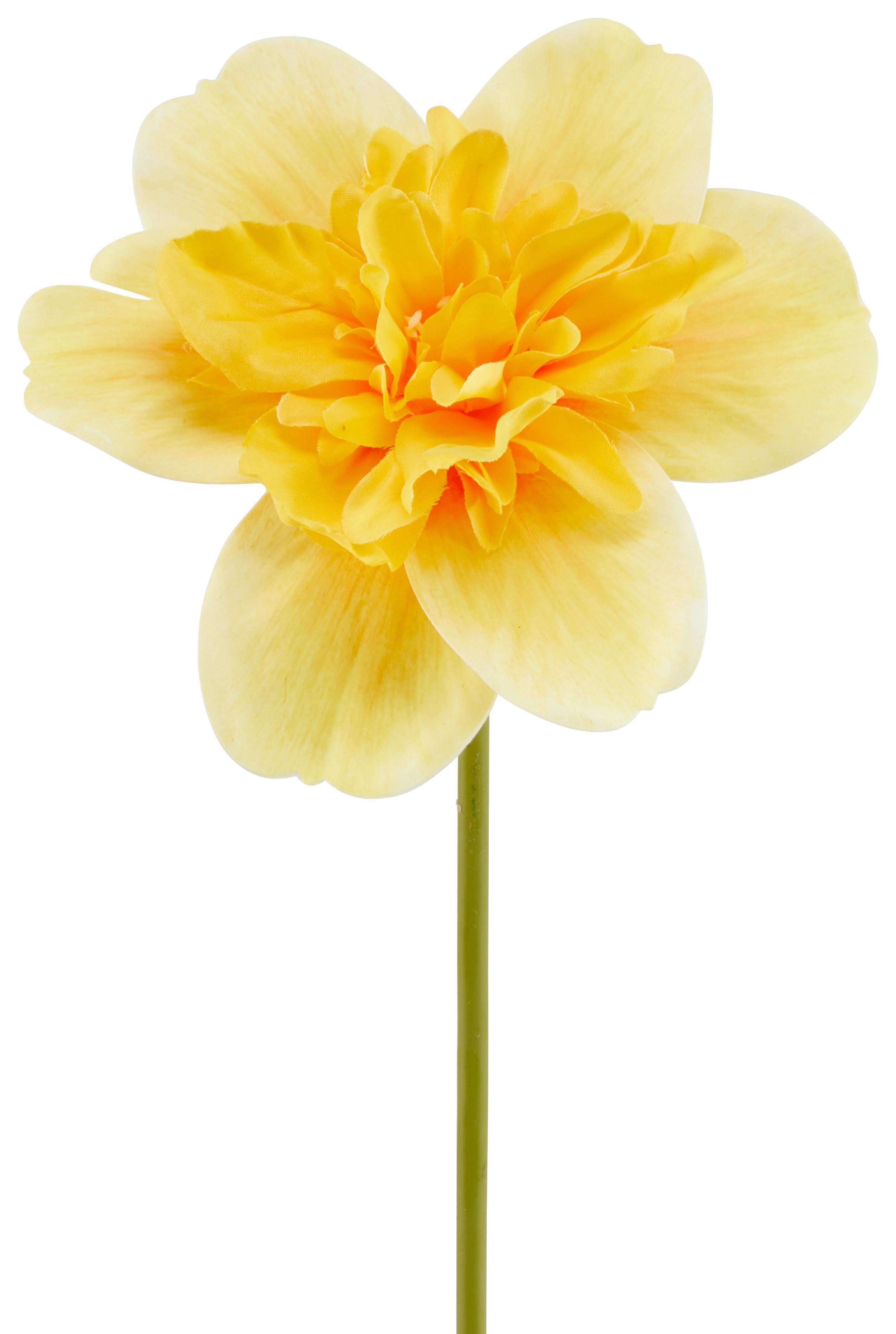 Kunstblume Osterglöckchen Gelb L: 40 Cm, Iris - Gelb/Grün, KONVENTIONELL, Kunststoff (40cm)