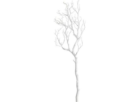 Větvička Dekorační Sam Ii - bílá, umělá hmota (97cm) - Mömax modern living Větvička Dekorační Sam Ii - bílá, umělá hmota (97cm) - Mömax modern living