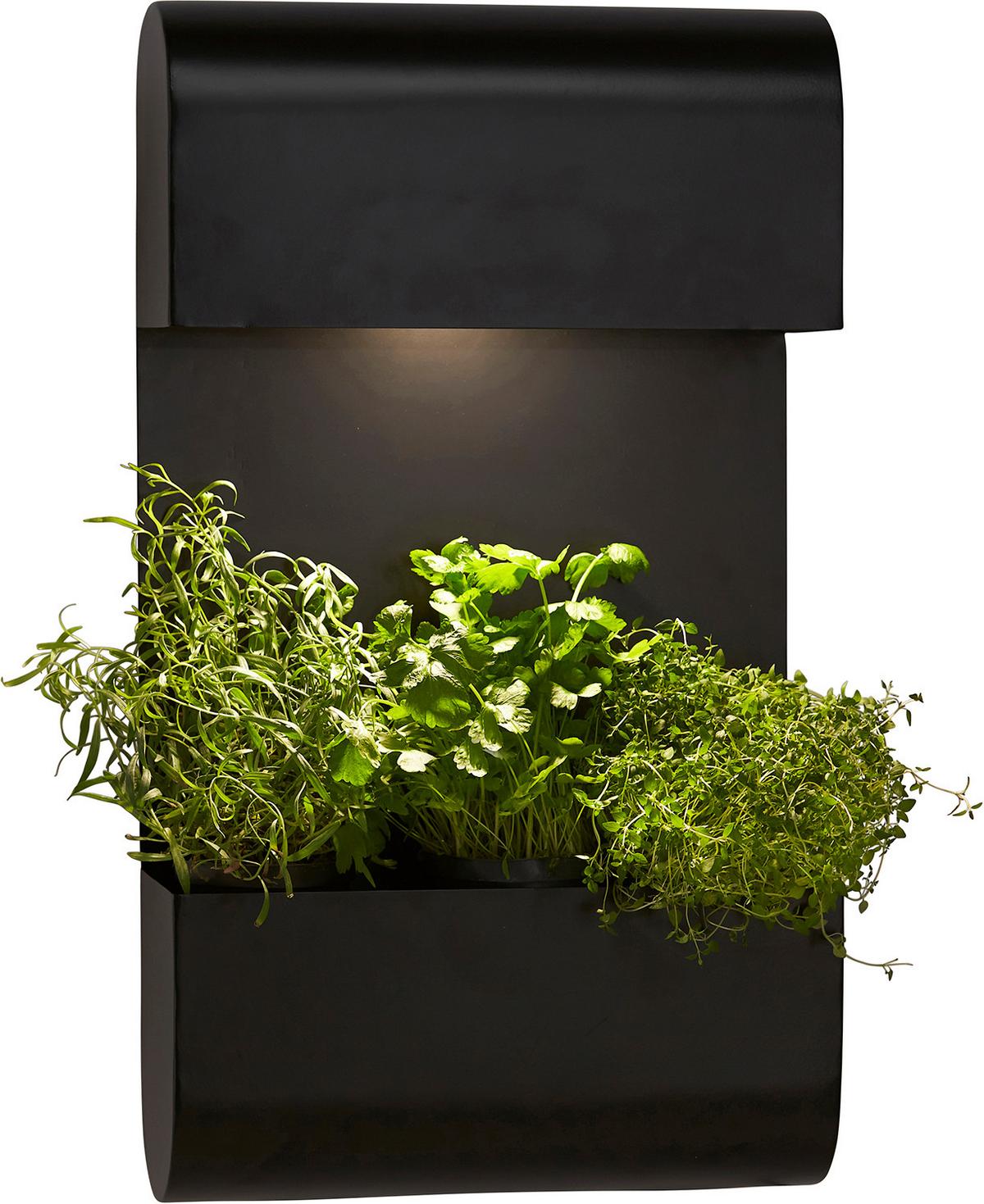 Außenwandleuchte 1274003 Planta - Schwarz, Basics, Metall (70/5/40cm)
