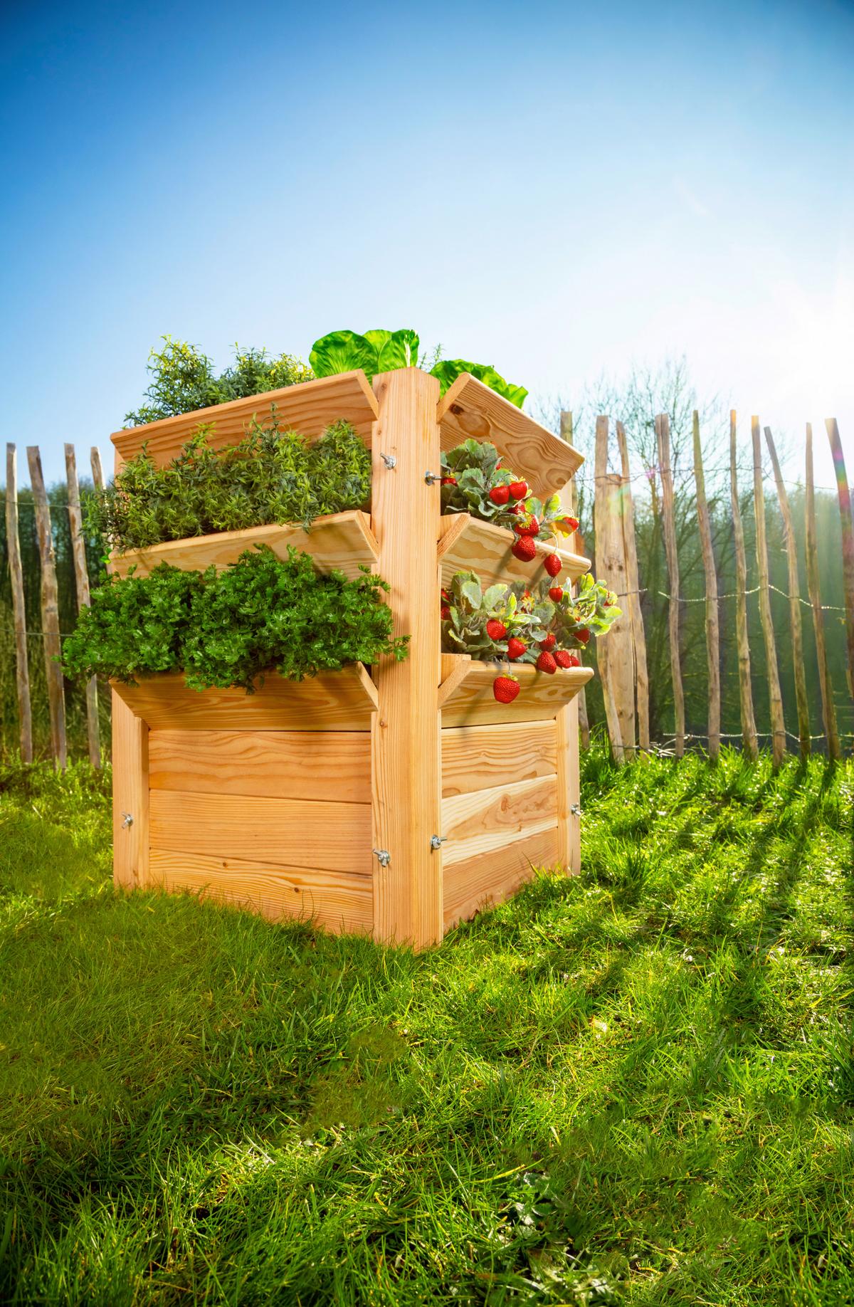 Hochbeet Echtholz Lärche 65x73x65 cm - Lärchefarben, Basics, Holz (65/73/65cm)