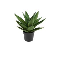 Kunstpflanze Bernhard - Schwarz/Grün, MODERN, Kunststoff (15/28cm) - Luca Bessoni