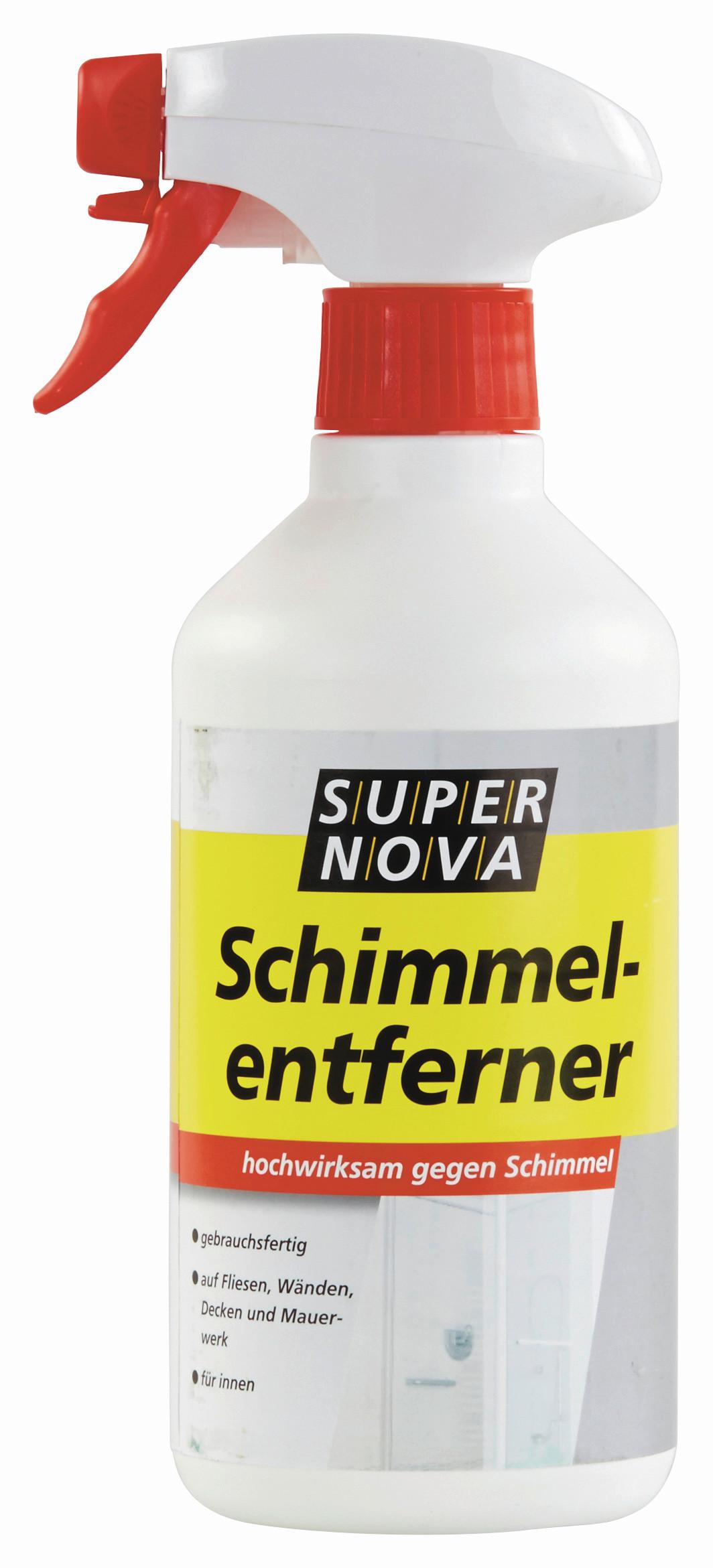 Schimmelentferner 500 ml - Basics (0.5l)