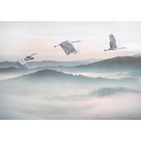 Fototapete Mystic Cranes - Blau/Weiß, Trend, Papier (400/280cm) - Komar