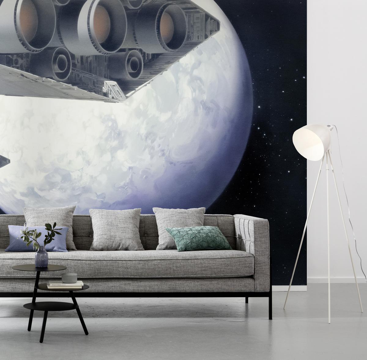 Fototapete Star Wars Stardestroyer - Schwarz/Weiß, Trend, Textil (500/250cm)