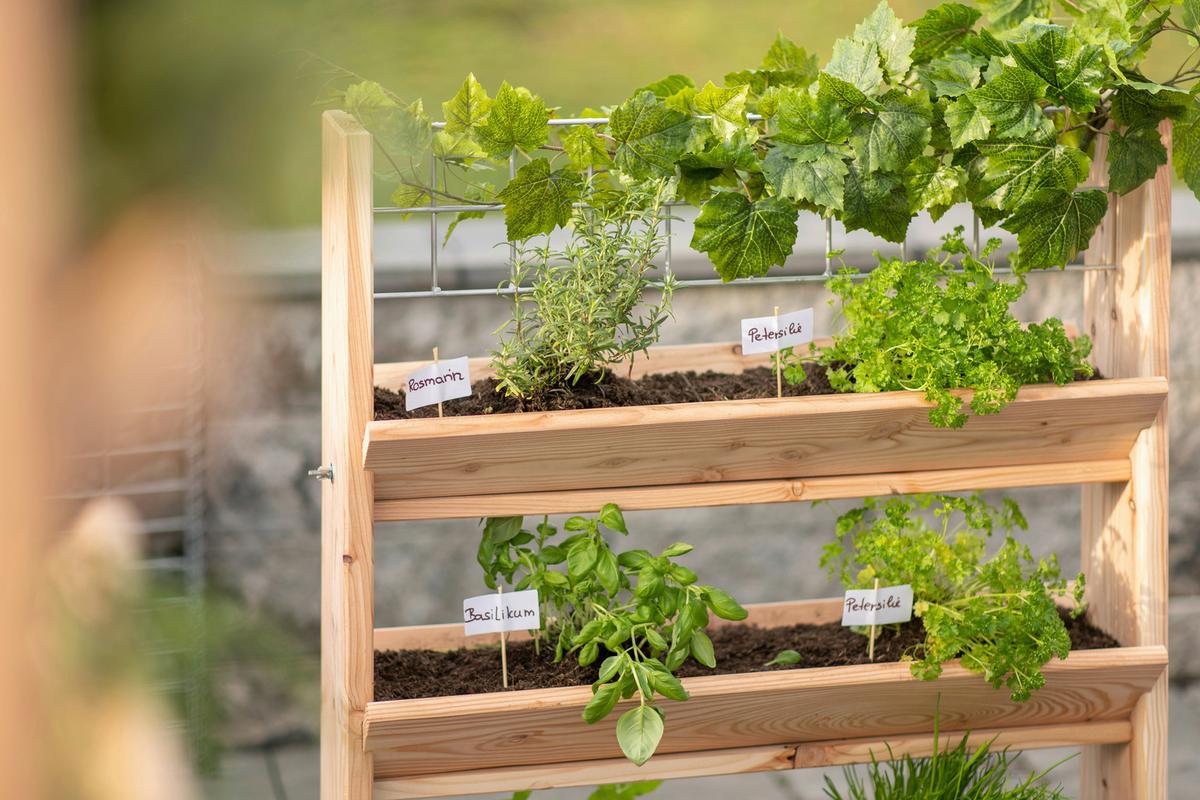 GARTENREGAL KRÄUTERREGAL L - Lärchefarben, Basics, Holz (80/95/50cm)