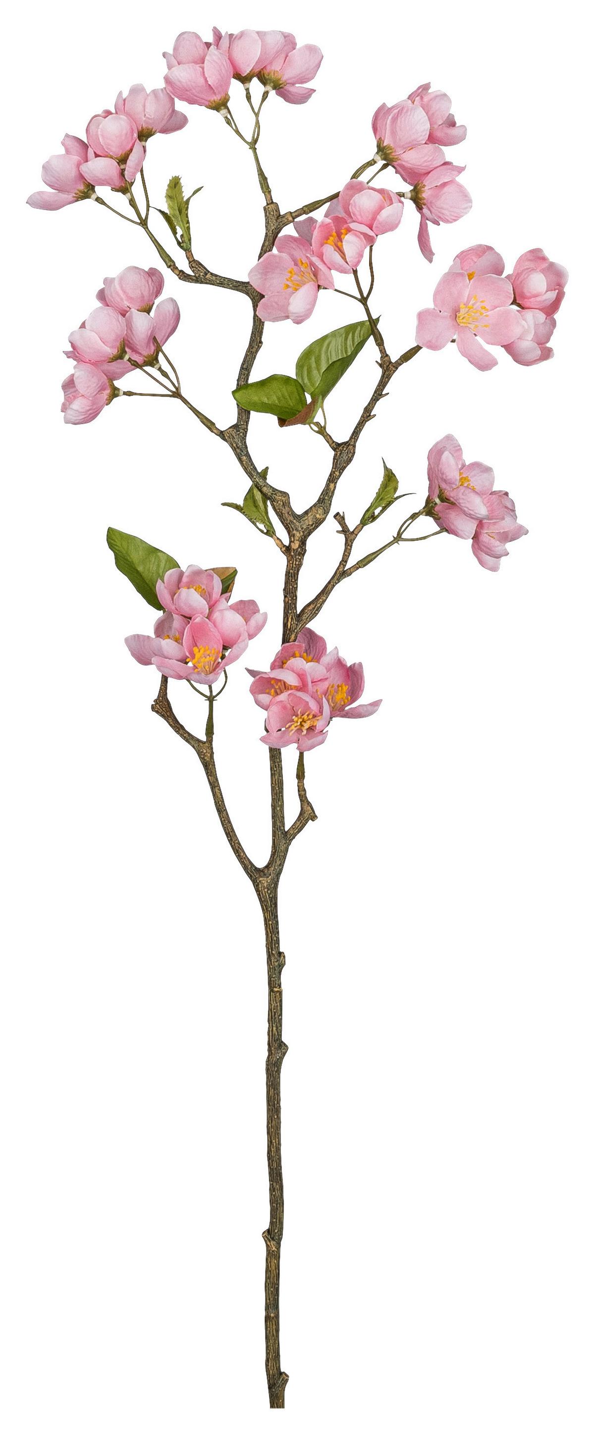 Umelá rastlina kvet jablone APFELBLÜTENZWEIG I -PAZ- - zelená/ružová, Basics, kov/textil (83cm) - Mömax