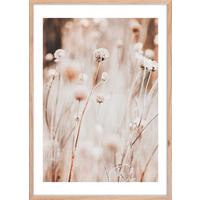 Obraz Image, ca. 50/70cm - bílá/béžová, kompozitní dřevo/plast (50/70cm) - Mömax