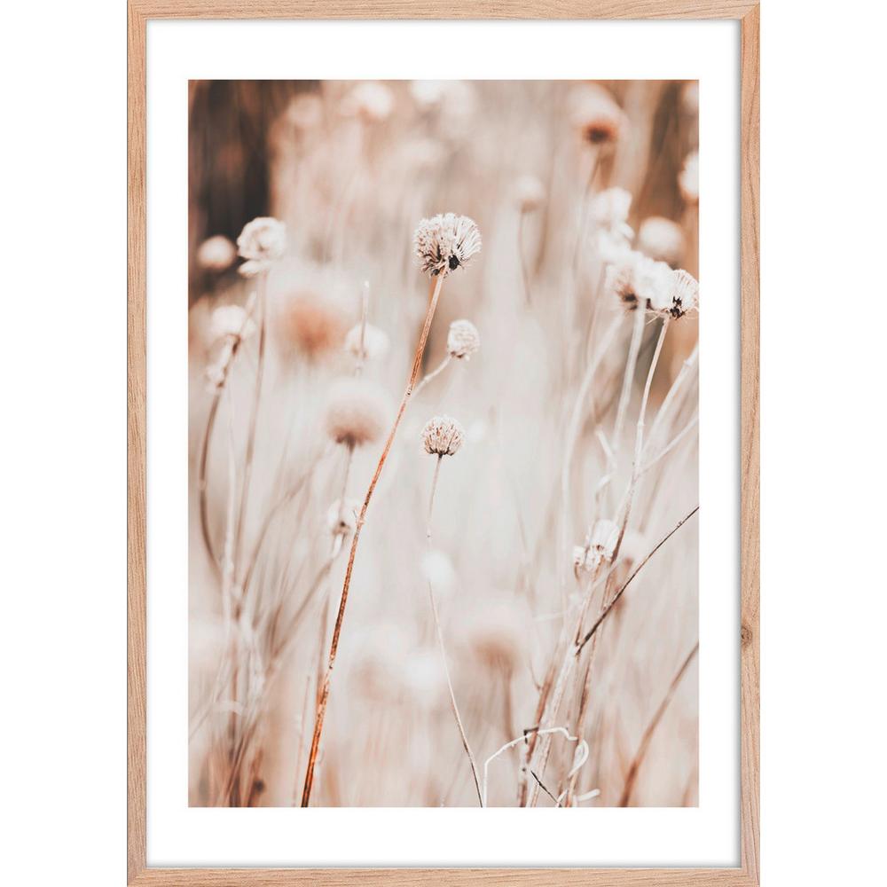 Obraz Image, ca. 50/70cm