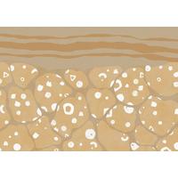 Fototapete Subsoil - Braun/Weiß, Trend, Papier (400/280cm) - Komar