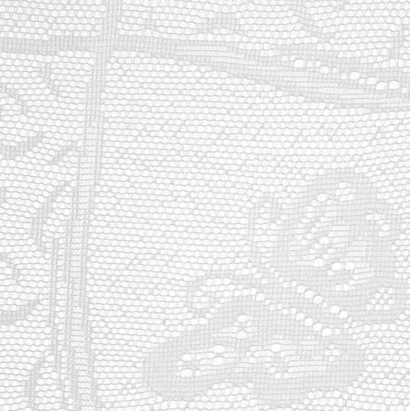 Gardine Transparent Lace BxL: 50x150 cm - Detailansicht Spitze Gardine Transparent Lace BxL: 50x150 cm - Detailansicht Spitze