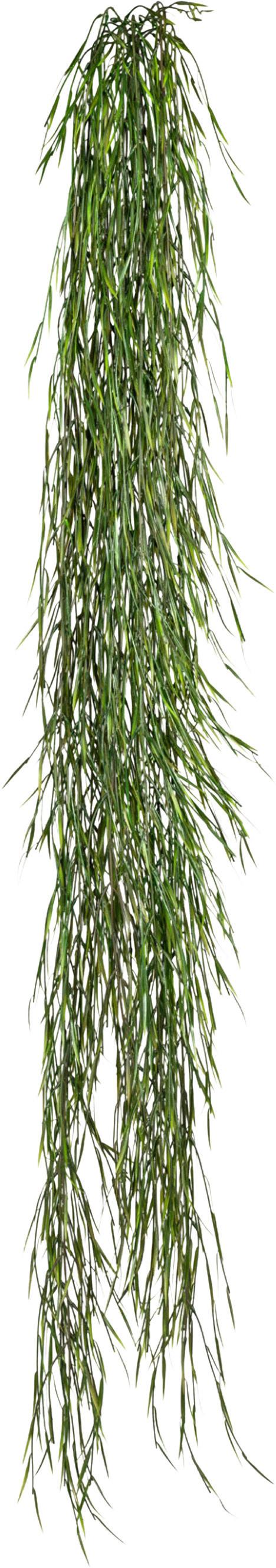 Kunstpflanze Hängepflanzen Grün, 160 cm - Grün, Design, Kunststoff (160cm) - P & B