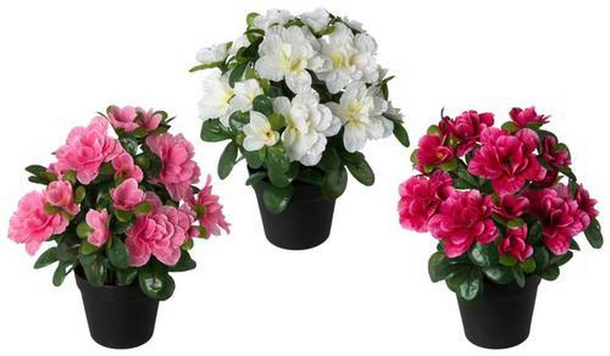 Kunstpflanze Azalee Bunt L: 25 Cm, Ines - Magenta/Rosa, Basics, Kunststoff (25cm)