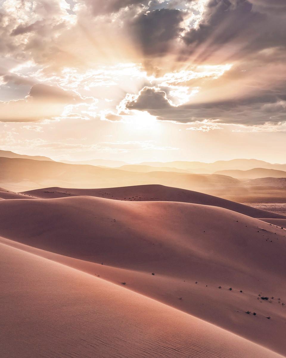 Vliestapete Sh017-Vd2 God Rays - Beige/Braun, Natur (200/250cm) - Komar