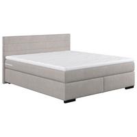 Boxspringbett mit Topper 160x200 cm Mammut - Silberfarben/Schwarz, KONVENTIONELL, Holz/Holzwerkstoff (160/200cm) - MID.YOU