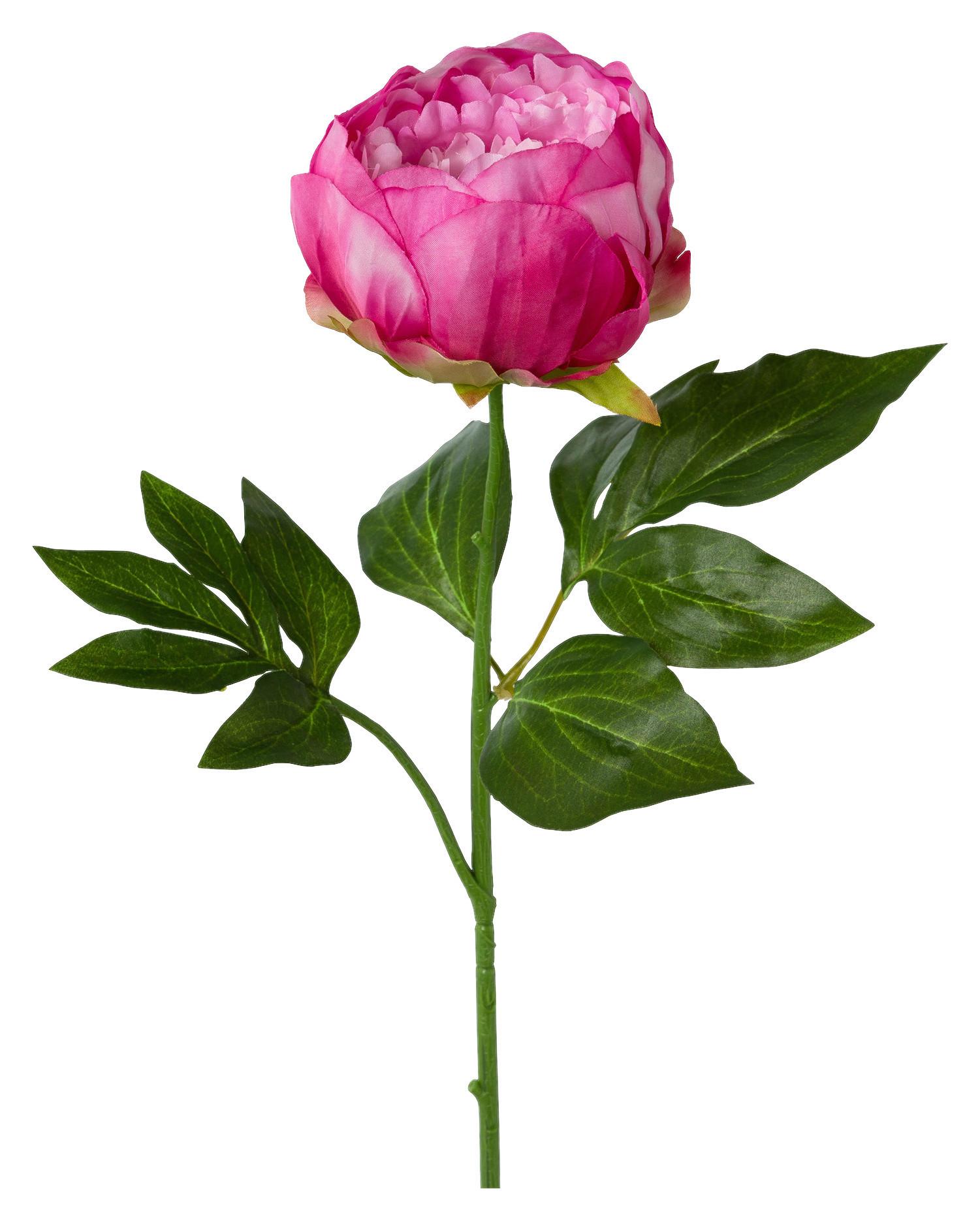 Kunstpflanze Pfingstrose Rosa L: 58 cm, Peonie