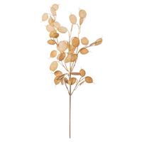 Kunstpflanze Pfennigblattzweig Braun L: 76 Cm, Gala - Braun, Basics, Kunststoff (76cm)