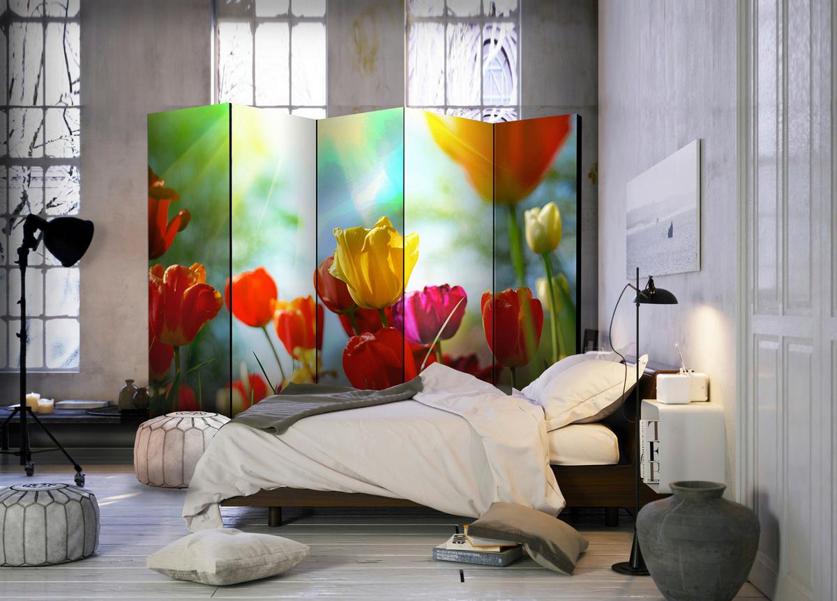 Paravent Multicolor B: 225 Cm - Multicolor, Basics, Holz/Textil (225/172/3cm) - artgeist