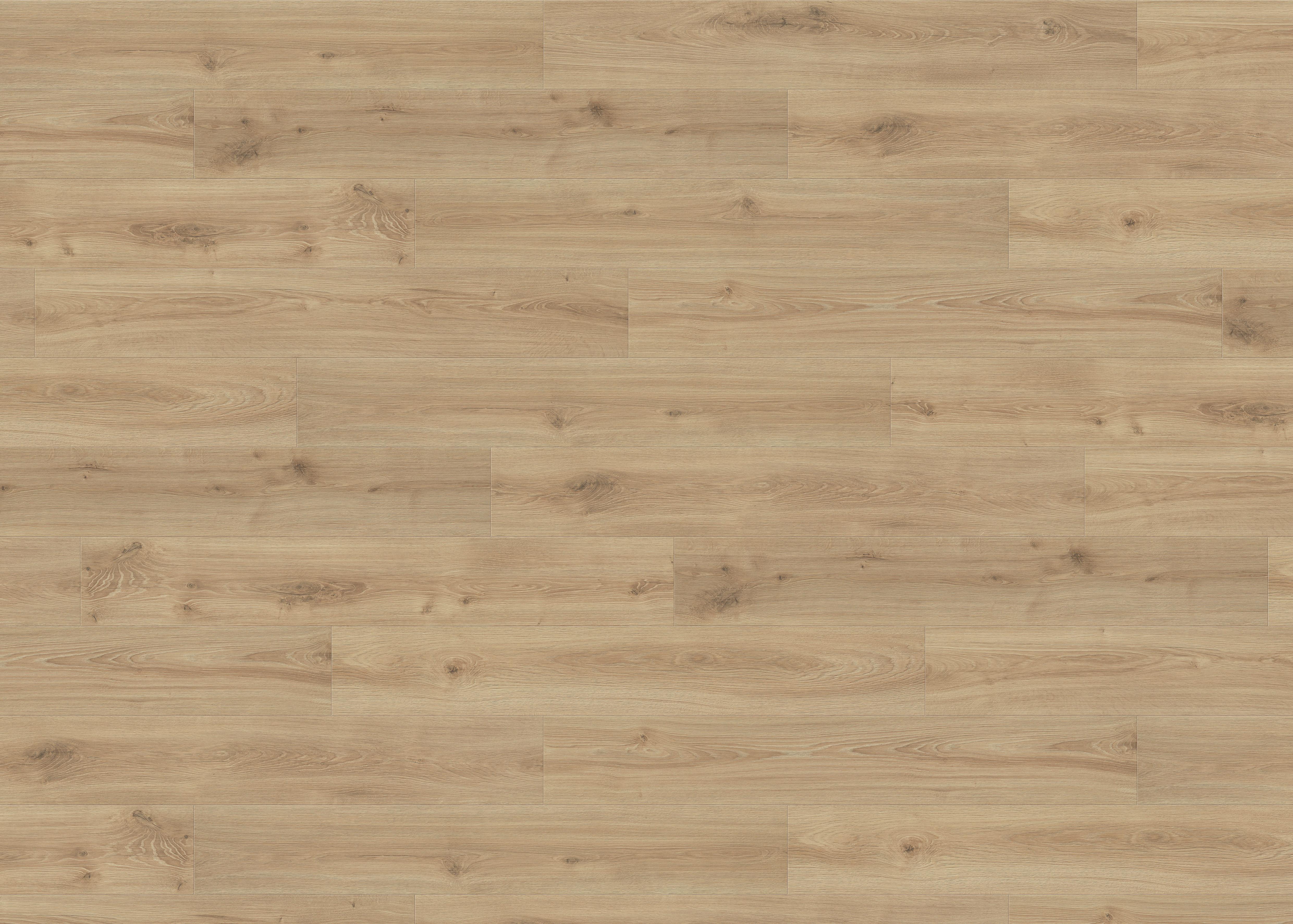 Laminatboden Eiche Olbia Str. Matt - Honigeiche, Basics, Holzwerkstoff (19.3/128.2cm) - Living by HARO