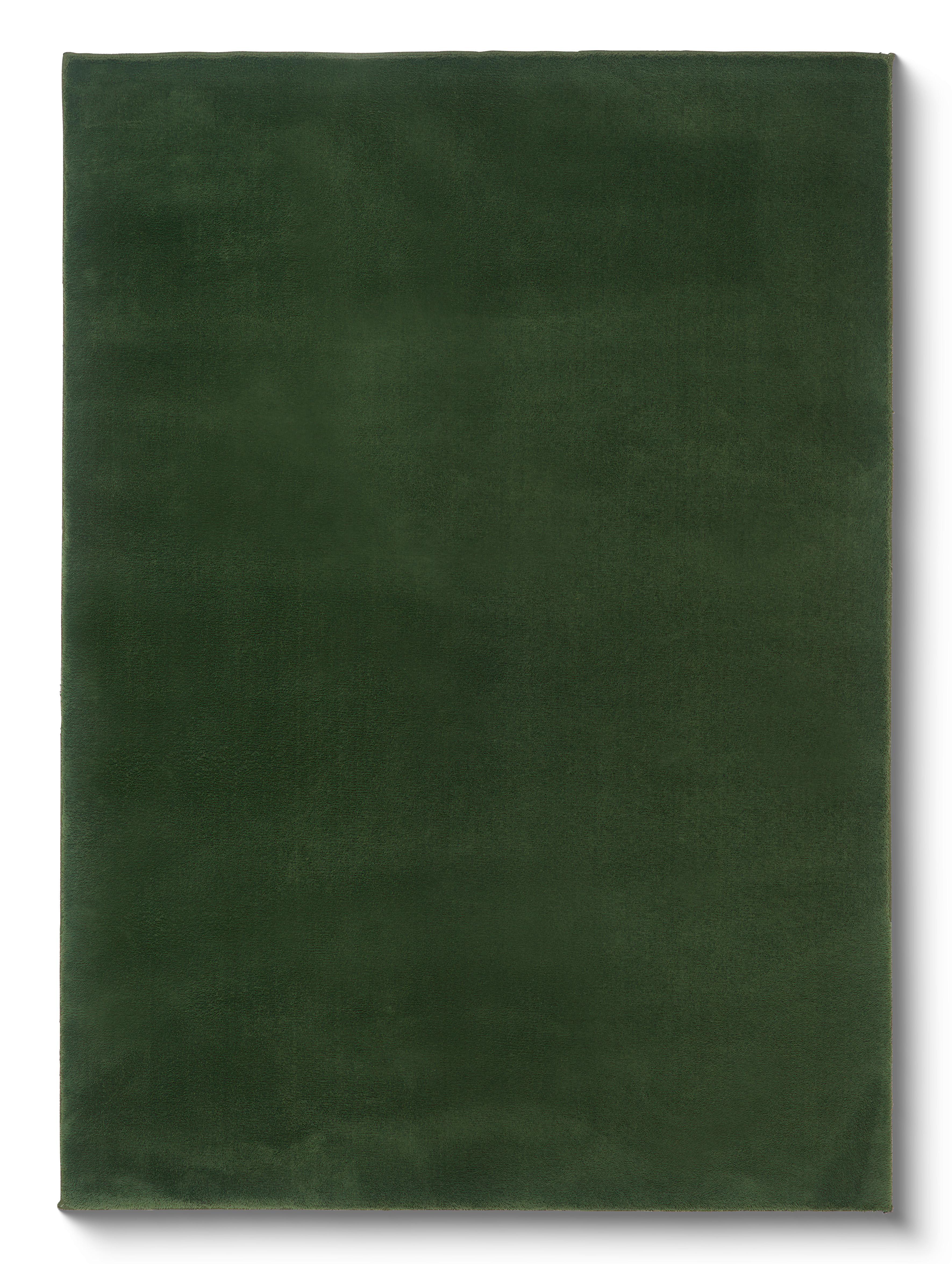 Szőnyeg Finja Kb. 120/170cm - zöld, Modern, textil (120/170cm) - Luca Bessoni