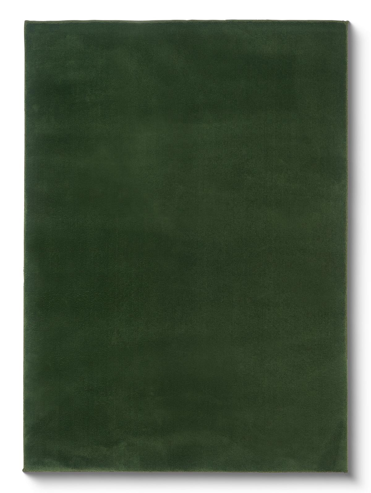 Szőnyeg Finja Kb. 120/170cm - zöld, Modern, textil (120/170cm) - Luca Bessoni