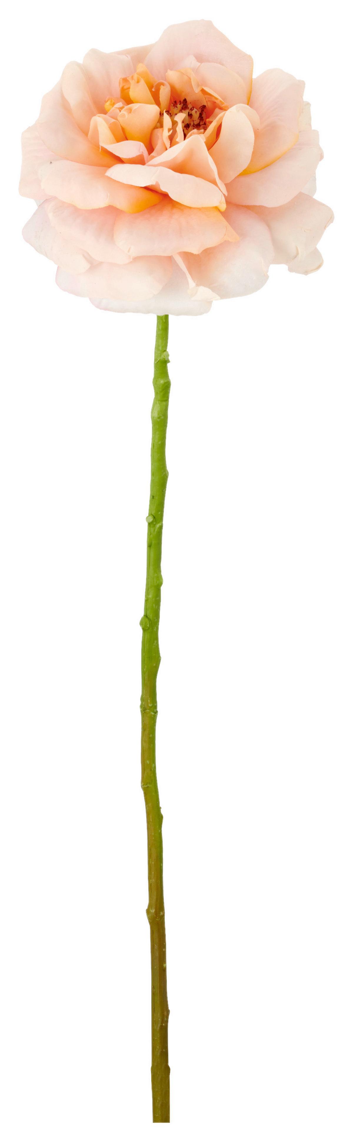 Ruža ROSE II -PAZ- - zelená/ružová, Basics, kov/textil (63cm) - Mömax