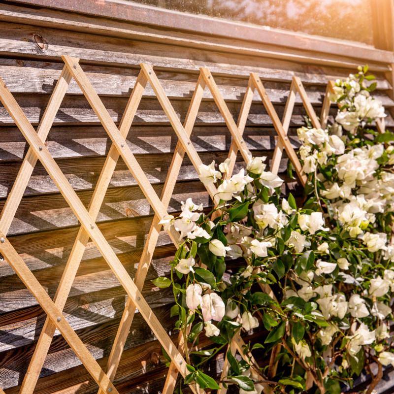 Rankhilfe Holzspalier Naturfarben B:90cm