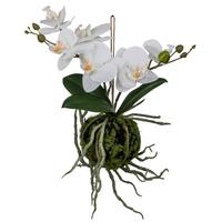 Kunstpflanze Laura - Schwarz/Weiß, Basics, Kunststoff (23cm)