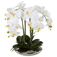 Kunstpflanze Orchideen Weiß, Topf: Silber, H: 41 Cm - Silberfarben/Weiß, Design, Keramik/Kunststoff (41cm) - P & B