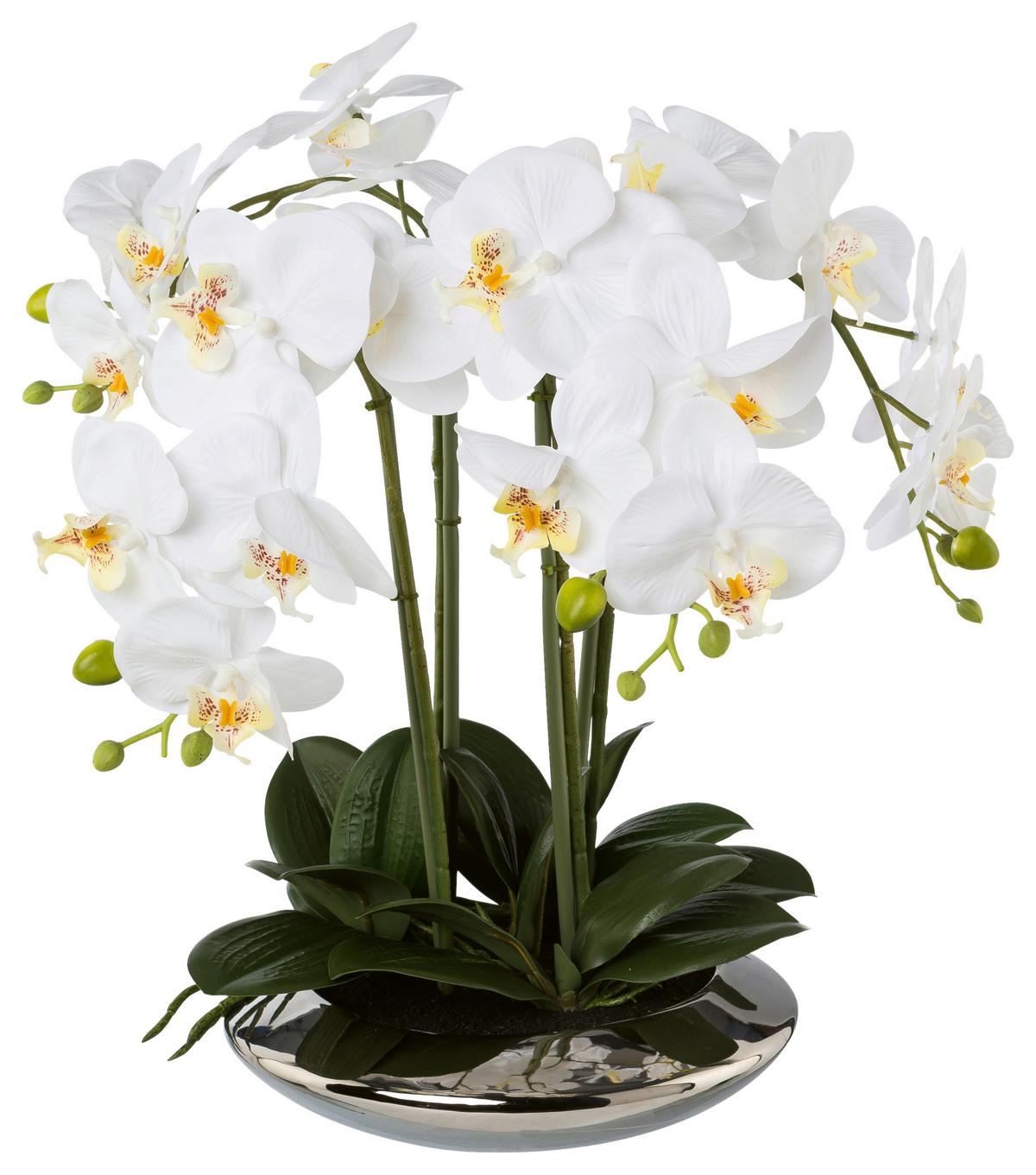 Kunstpflanze Orchideen Weiß, Topf: Silber, H: 41 Cm - Silberfarben/Weiß, Design, Keramik/Kunststoff (41cm) - P & B
