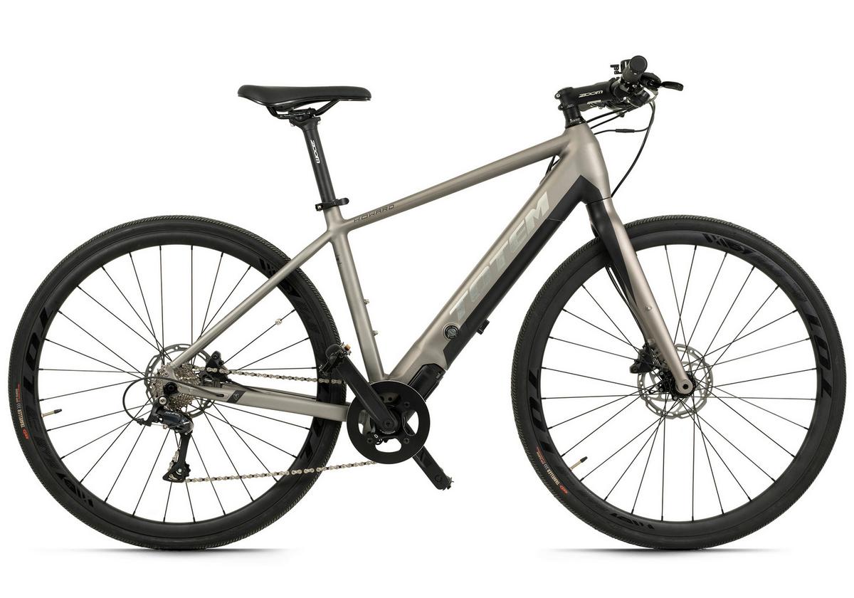 Elektrofahrrad Totem Urban Platin - Hellgrau, Basics, Metall (180/70/100cm)