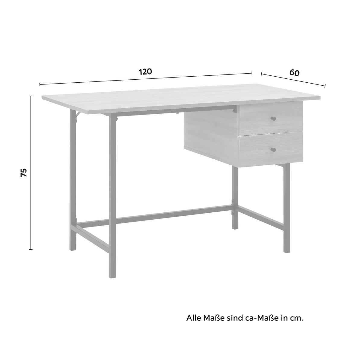 Psací stůl DONETTA 120 x 60 cm - černá/barvy vlašských ořechů, Moderní, kov/plast (120/60/75cm) - Bessagi Home