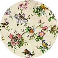 Fototapete Bird Party - Multicolor, Trend (125cm)