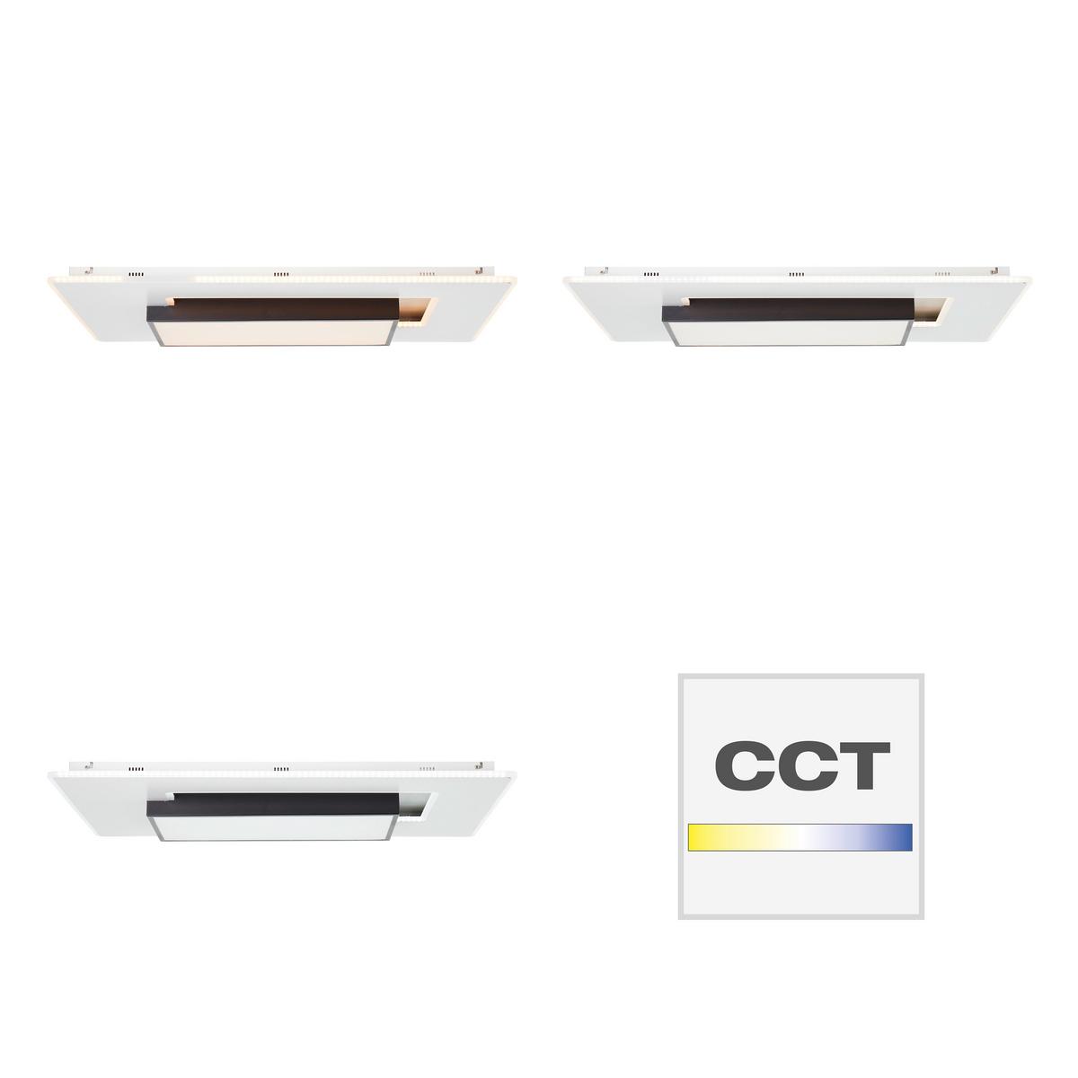 LED-Deckenleuchte Hutson L: 80 cm mit Farbtemperaturwechsler - Schwarz/Weiß, Design, Kunststoff/Metall (80/50/7cm) - Brilliant