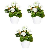 Kunstpflanze Blühpflanzen Weiß/Grün, 24 cm - Weiß/Grün, Design, Keramik/Kunststoff (24cm) - P & B
