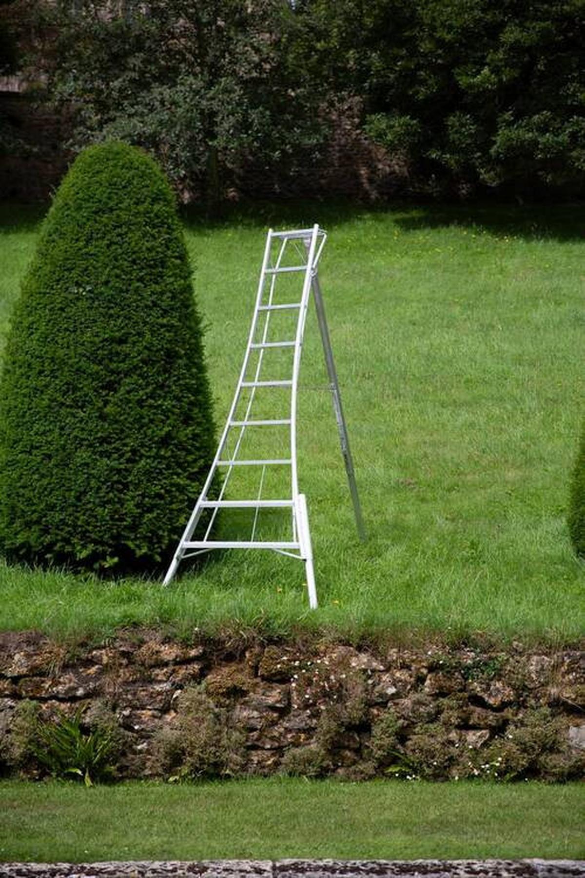 Leiter 3-Holm-Gartenleiter 270cm - Silberfarben, Basics, Metall (210/270/127cm)
