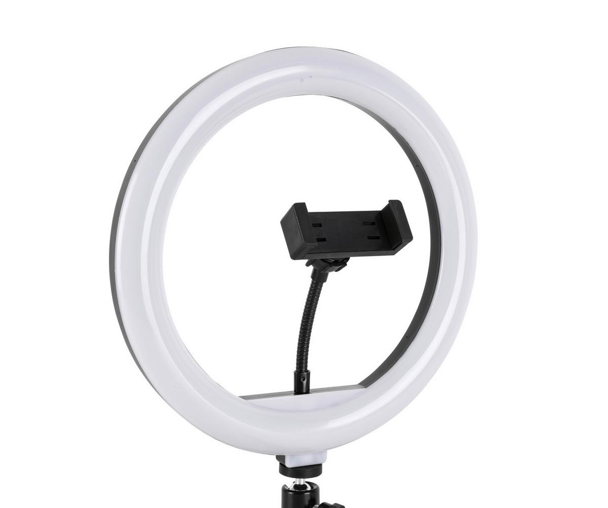 Dekoračné svietidlo Tofo, P/V: ca 26/40cm, čierna - čierna, Modern, kov/plast (24,5/38cm) - Mömax