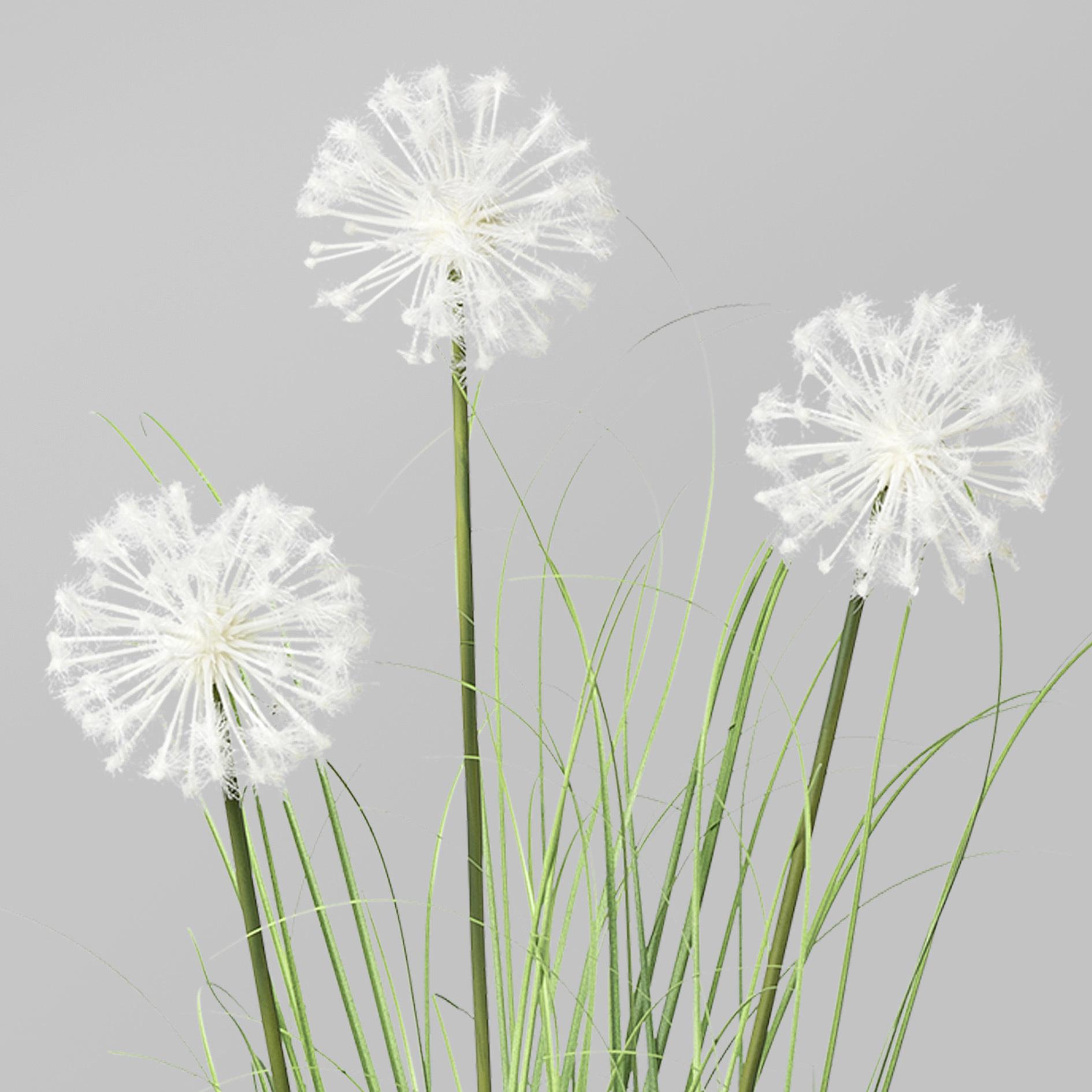 Kunstblumen DAISY aus Kunststoff in Weiß im Topf Detail