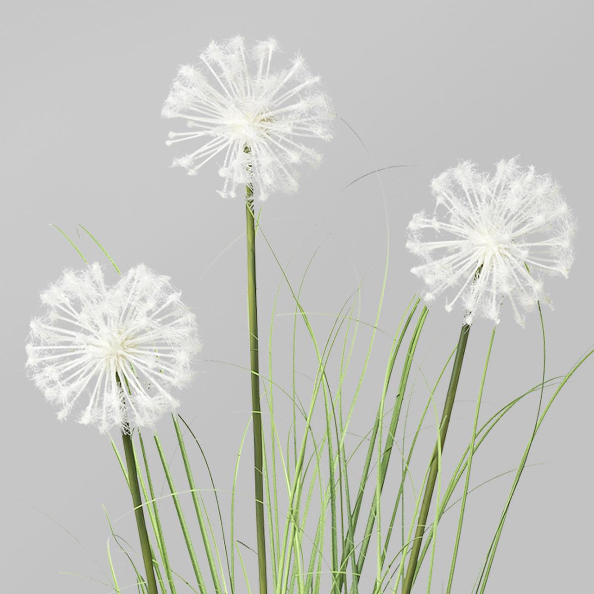 Kunstpflanze Grün/weiß H: 78 Cm Mit Topf Daisy - Schwarz/Weiß, MODERN, Kunststoff (78cm) - P & B