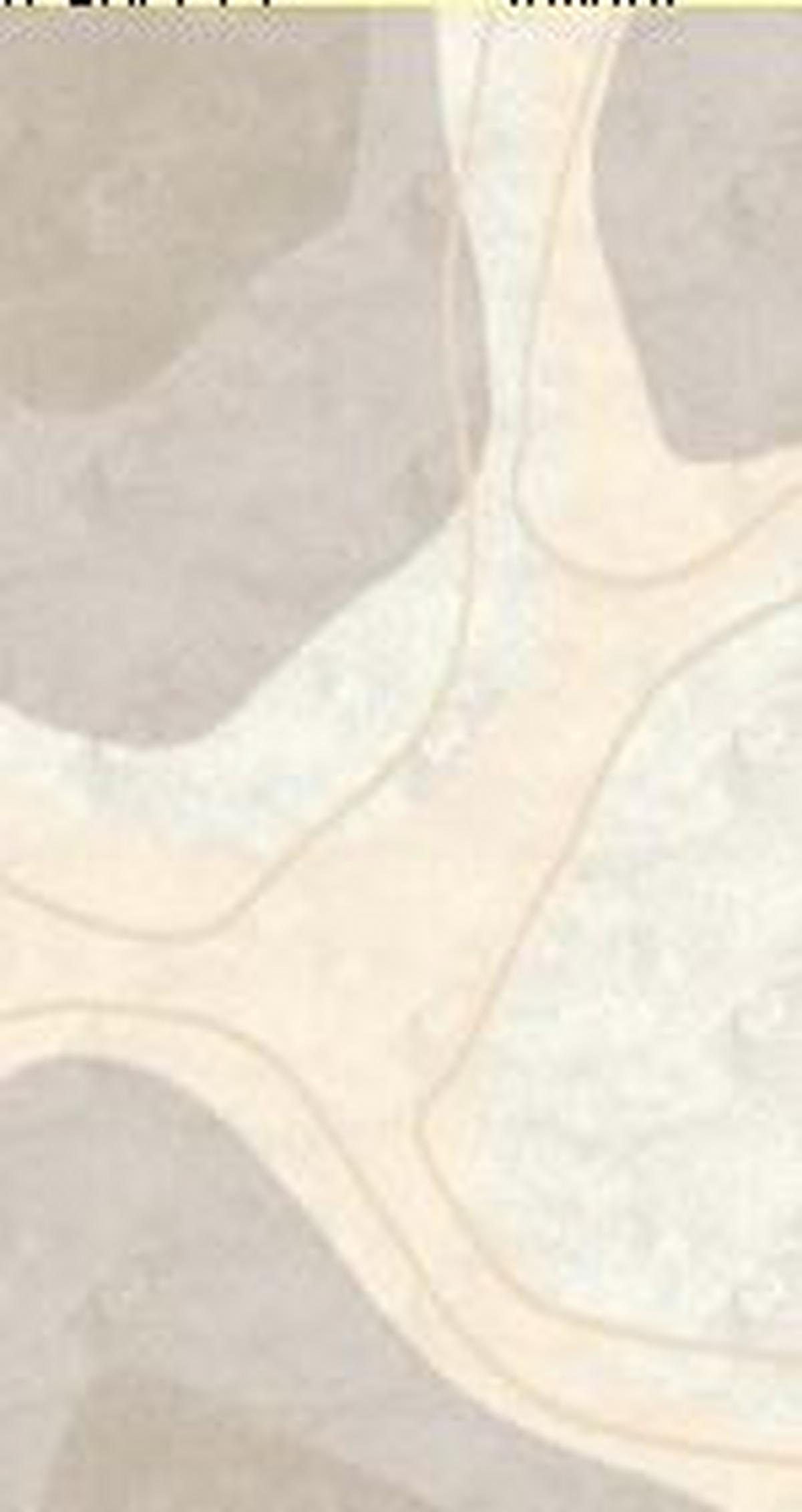 Webteppich Rikku - Beige, ROMANTIK / LANDHAUS, Textil (80/150cm) - James Wood