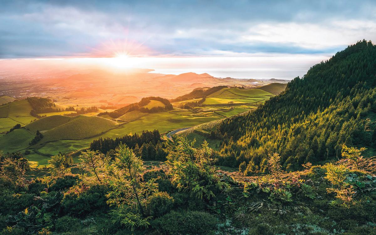 Vliestapete Sh071-Vd4 Paradise Island - Natur (400/250cm)